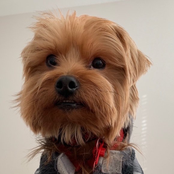 Meet your Posher, Amy - Picture 1 of 1